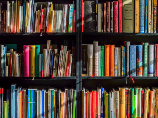 City Adventurers Bookshop